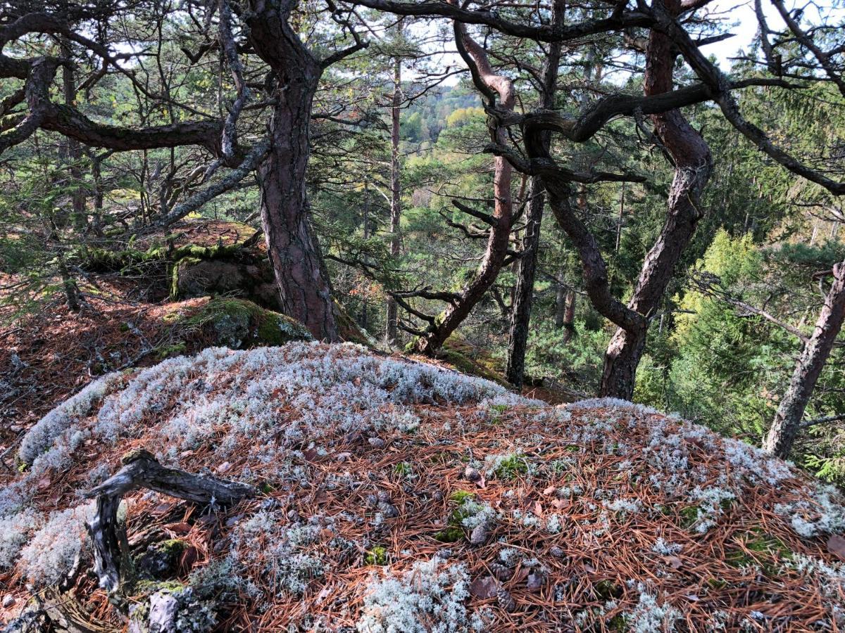 Mysig Och Modern Stuga Pa Snoegard, Naera Havet Och Naturen Lur  Exterior photo