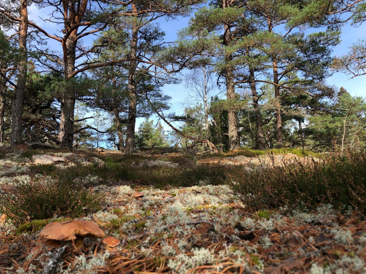 Mysig Och Modern Stuga Pa Snoegard, Naera Havet Och Naturen Lur  Exterior photo