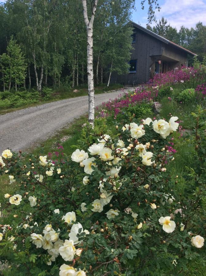 Mysig Och Modern Stuga Pa Snoegard, Naera Havet Och Naturen Lur  Exterior photo
